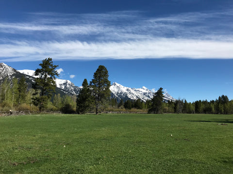 Jackson Hole Land Trust View22 2018