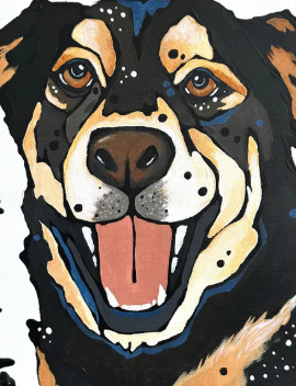 Pet Portraits