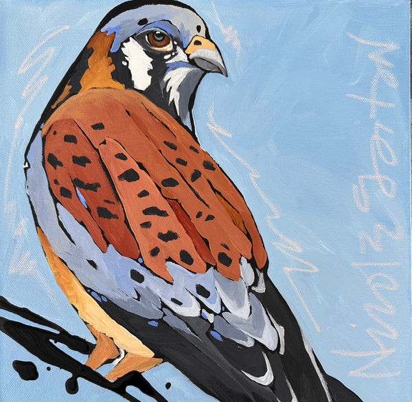 Little Kestrel