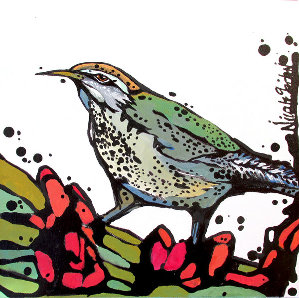 Cactus Wren