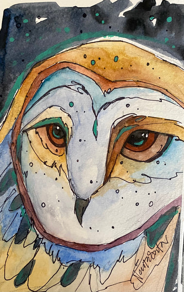 Barn Owl